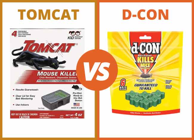 Tomcat vs Dcon