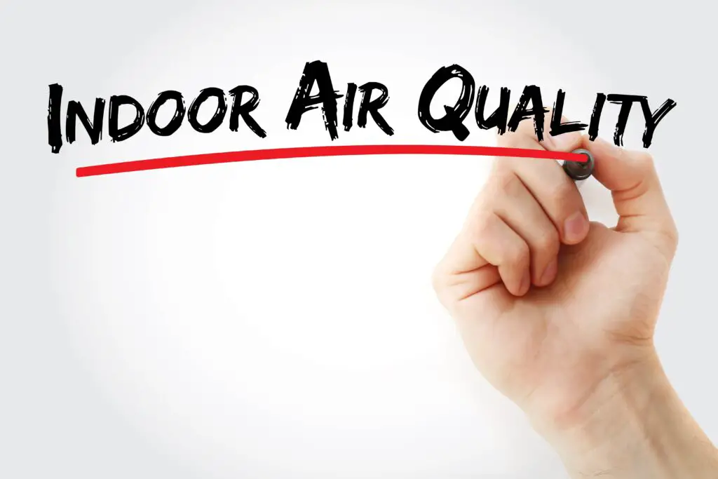 Effects of Rodent Infestation on indoor air quality